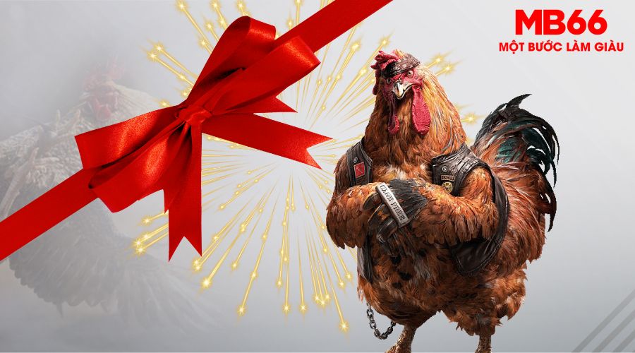 Đá Gà MB66 - Sân Chơi Chuyên Nghiệp Cho Anh Em Sư Kê Việt 25 Một số chương trình khuyến mãi đá gà Mb66